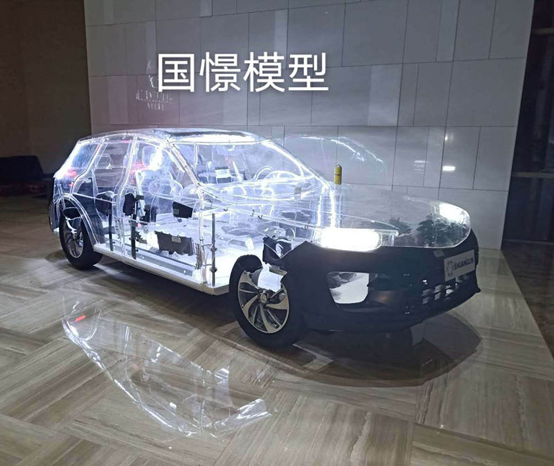 卢龙县透明车模型